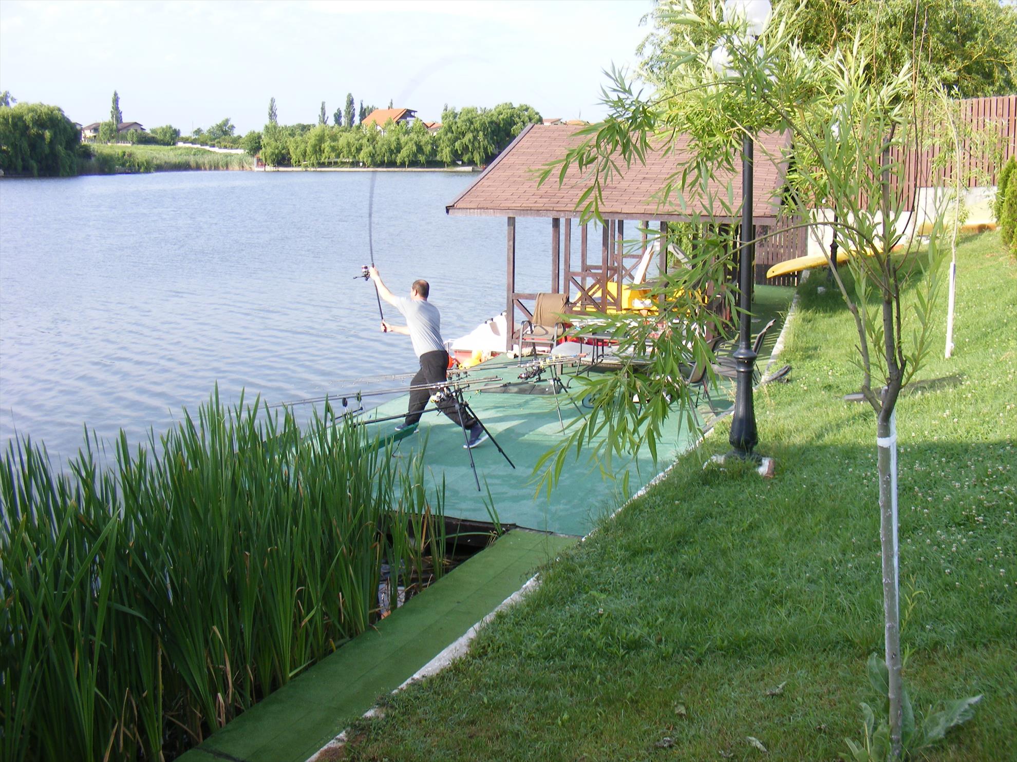 Balotesti iunie-2014 - dscf1070.JPG